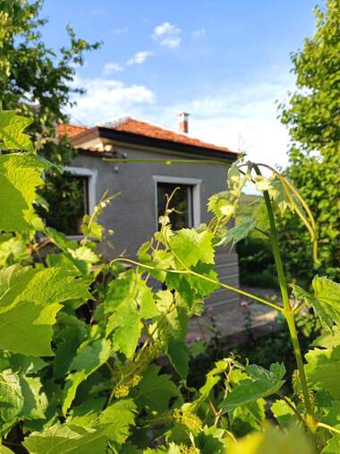 For sale - House in Sredno Gradishte,  Stara Zagora