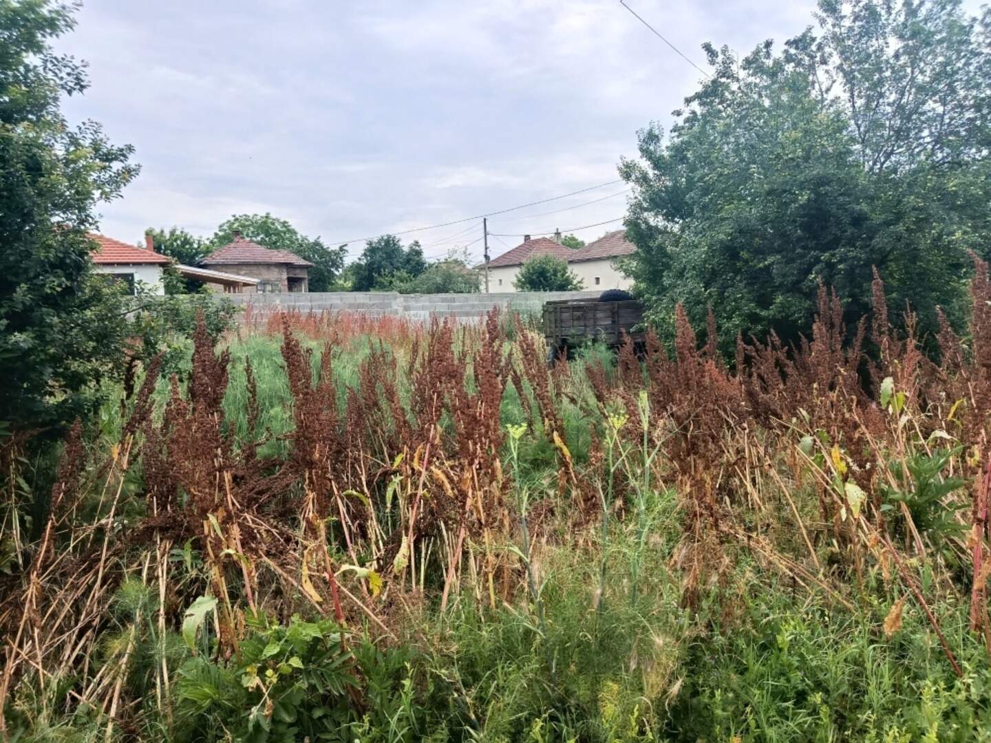 For Construction in Tarnicheni, Stara Zagora – photo 2
