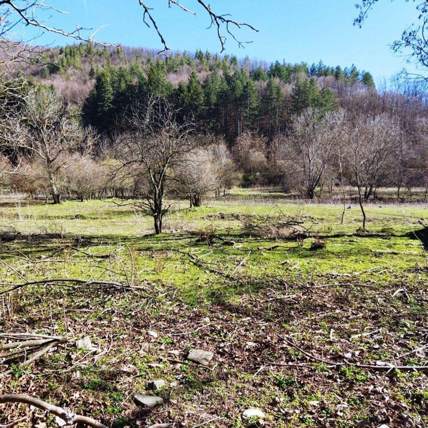 Teren de construcții în Iceera, Sliven – fotografia 3