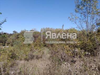 Verkauf - Landwirtschaftlich Grundstück in Zarewo,  Burgas