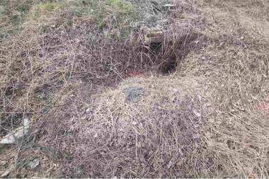 For sale - For Construction in Pod manastira,  Shumen