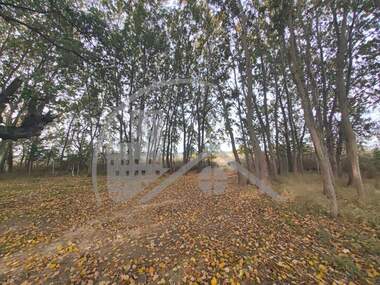 Satış - İnşaat arsası olarak Topoli,  Varna