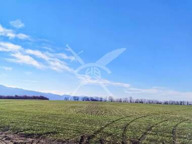 Πώληση - Οικόπεδο για κατασκευή σε Цигов чарк,  Пазарджик