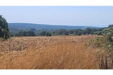 Satış - İnşaat arsası olarak Bliznaci,  Varna