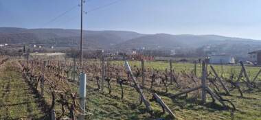 For sale - Agricultural land in Markovo,  Plovdiv