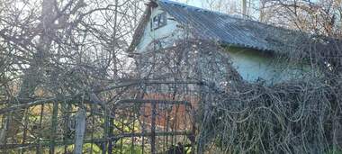 Verkauf - Weinberge in Promischlena zona - Zapad,  Razgrad