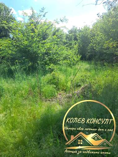 For sale - House in Nikolovo,  Haskovo