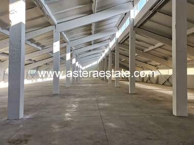 Vânzare - Spațiu industrial/Spațiu de depozitare/Depozit în Bălgarceevo,  Blagoevgrad
