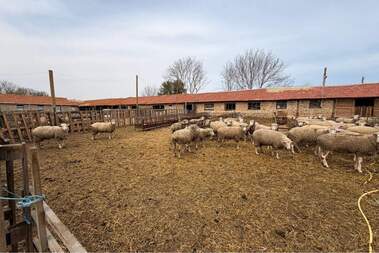 Satış - Endustriyel tesisler olarak Bistra,  Targovishte