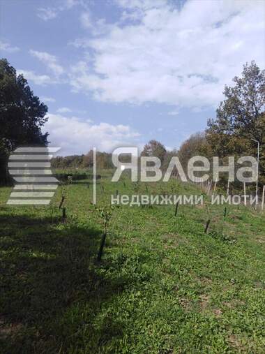 Verkauf - Landwirtschaftlich Grundstück in Izgrew,  Burgas