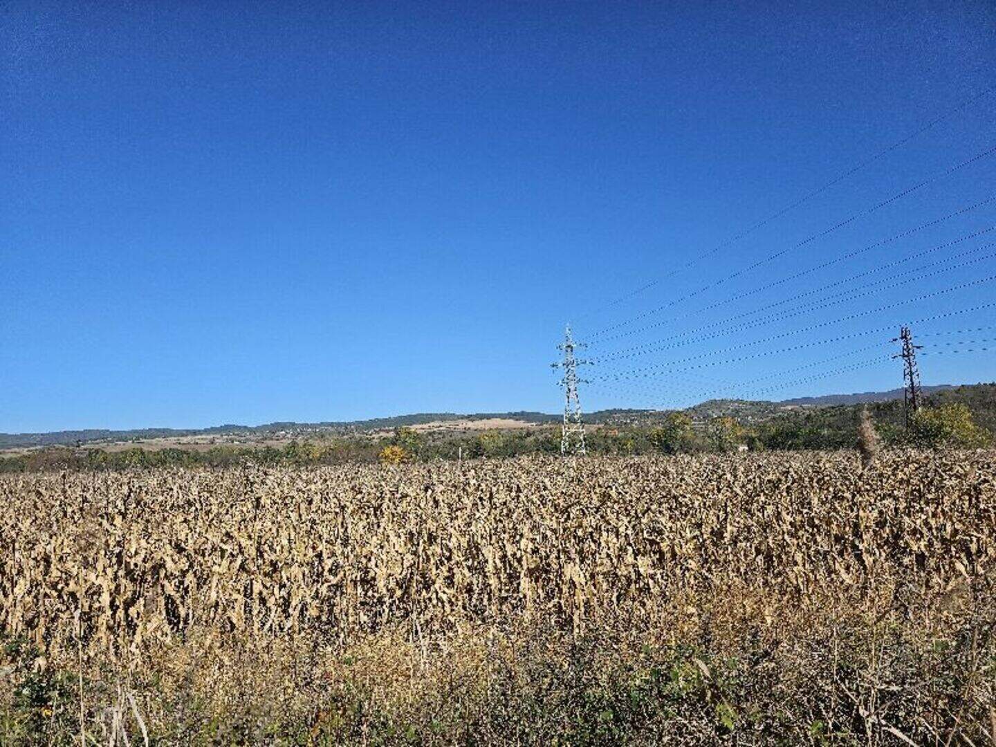 Γεωργική γη σε Γορνα Βασιλιτσα, Σοφιισκα – φωτογραφία 2