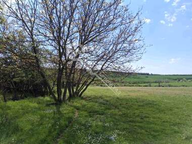 For sale - House in Strelets,  Veliko Tyrnovo