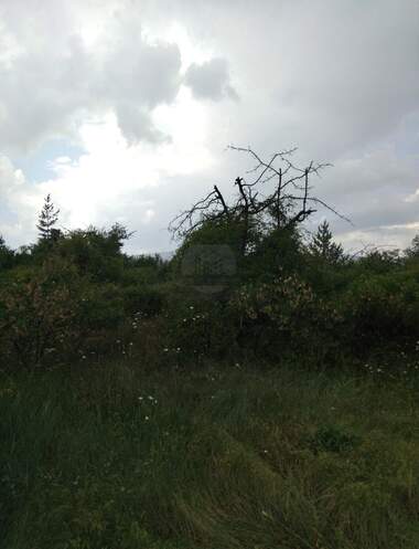 For sale - For Construction in Dragovishtica,  Kiustendil