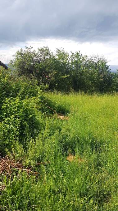 Verkauf - Baugrundstück in Saparewa Bania,  Küstendil