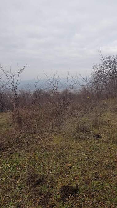 For sale - For Construction in Bistrica,  Kiustendil