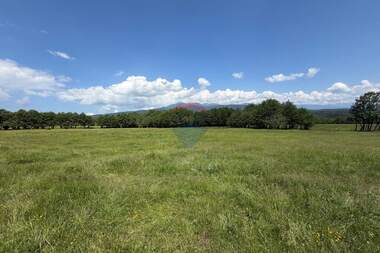 For sale - Agricultural land in Razlog,  Blagoevgrad