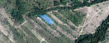 For sale - Agricultural land in Pamidovo,  Pazardjik