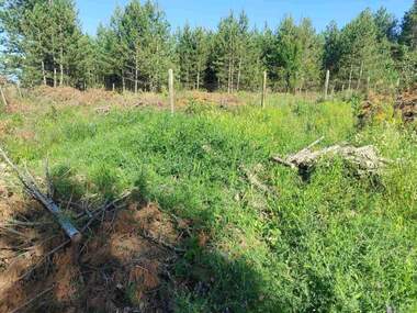 For sale - For Construction in Logodaj,  Blagoevgrad