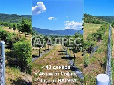For sale - Agricultural land in Gorno Kamarci,  Sofia Oblast