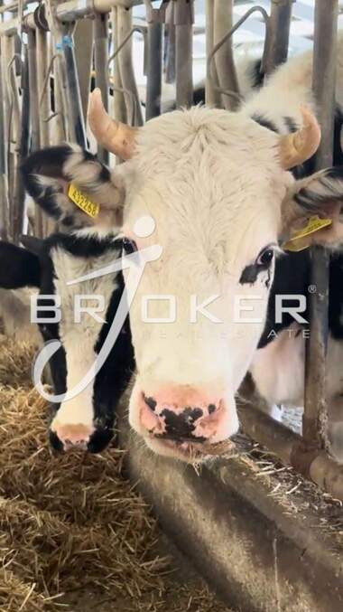 Продажба - Промишлено помещение в Пчеларово,  Кърджали