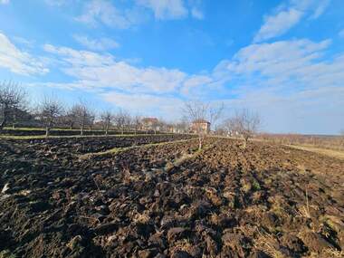 Продажба - Овощна градина в Борисово,  Русе