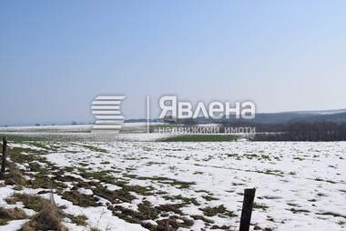 Продажба - Земеделска земя във Велика,  Бургас