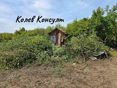 Vânzare - Plantații viticole în V.Z. Kenana,  Haskovo