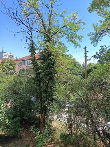 For sale - Apartment in Geo Milev,  Sofia