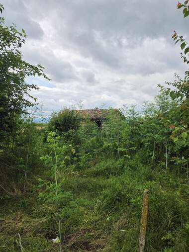 Verkauf - Baugrundstück in Buhowzi,  Targowishte