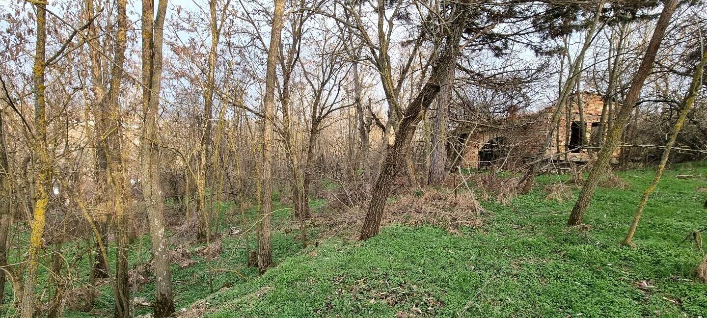 Ev olarak Pobit Kamak, Razgrad – fotoğraf 2