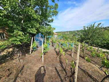 For sale - House in Bylgarsko Slivovo,  Veliko Tyrnovo