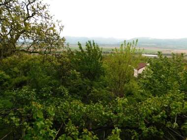 Verkauf - Haus in Wilna zona,  Targowishte
