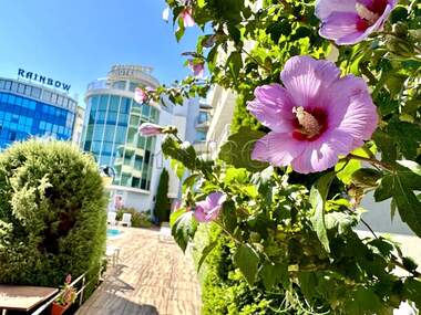 For sale - Apartment in Sunny Beach,  Burgas