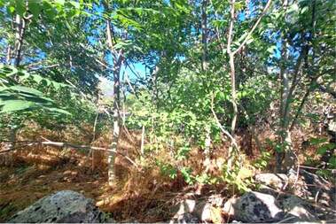 For sale - For Construction in Dobrina,  Varna