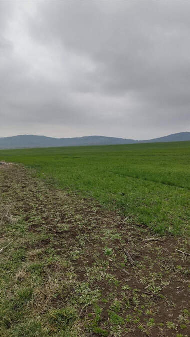 Продажа - Земледельческая земля в Росен,  Бургас