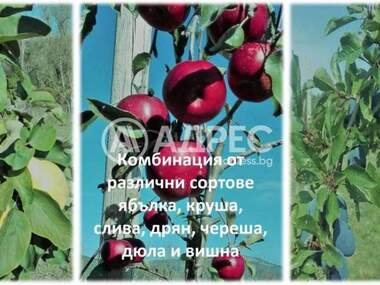 For sale - Agricultural land in Gorno Kamarci,  Sofia Oblast