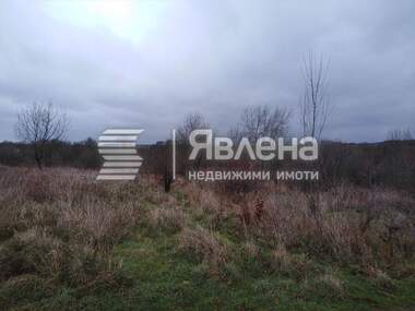 Vânzare - Teren agricol în Varvara,  Burgas