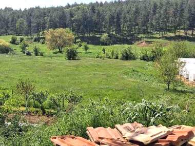 Verkauf - Baugrundstück in Saedinenie,  Targowishte