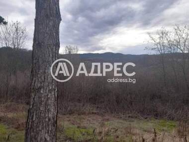 For sale - House in Cacarovci,  Sofia Oblast
