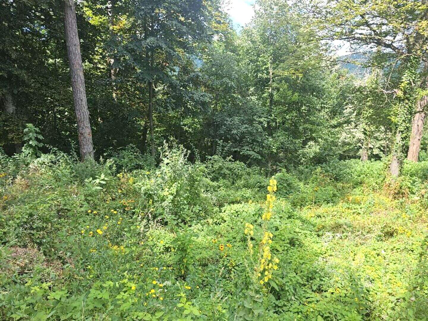 For Construction in Botevgrad, Sofiyska – photo 4