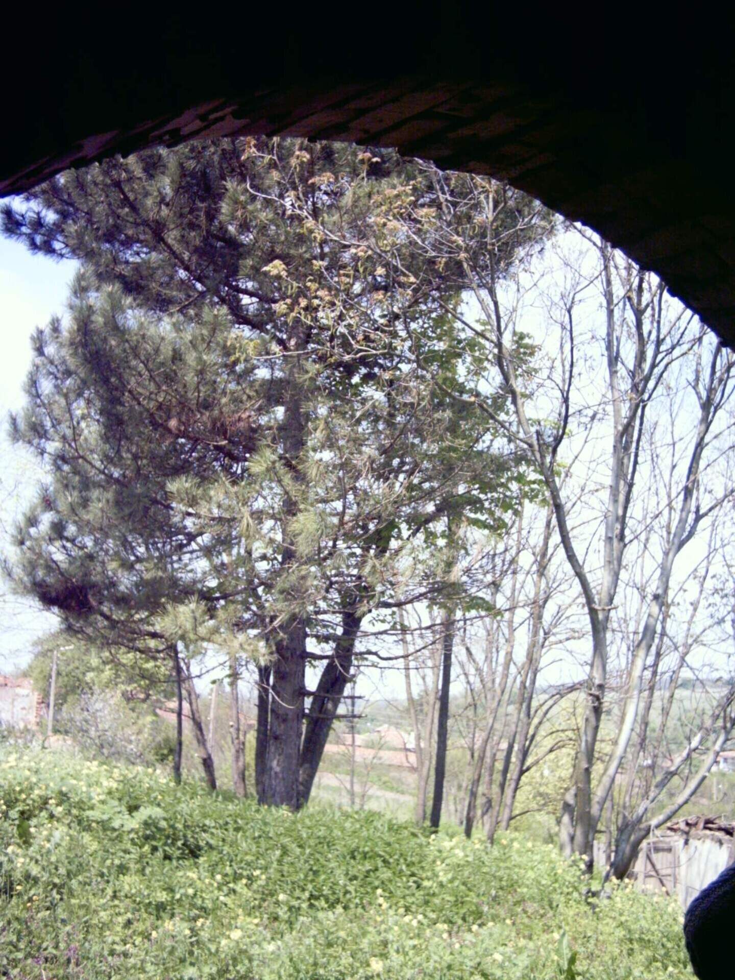 Ev olarak Pobit Kamak, Razgrad – fotoğraf 9