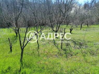 Πώληση - Οικόπεδο για κατασκευή σε Осеново,  Варна