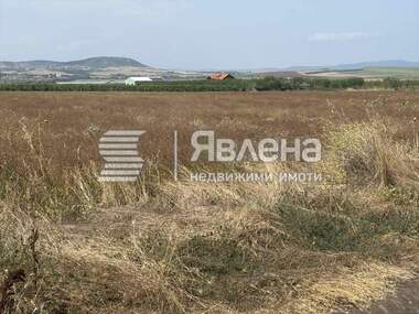 For sale - Agricultural land in Pomorie,  Burgas