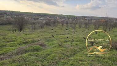 For sale - House in Georgi Dobrevo,  Haskovo