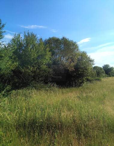 For sale - Agricultural land in Balanovo,  Kiustendil