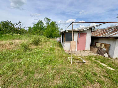 For sale - Orchard in Rusofili,  Ruse