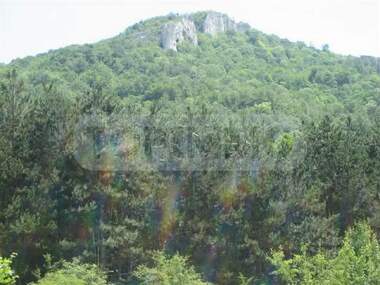 Satış - Orman olarak Debelec,  Varna