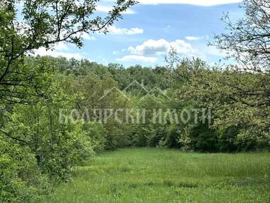 Satış - İnşaat arsası olarak Balvancite,  Gabrovo