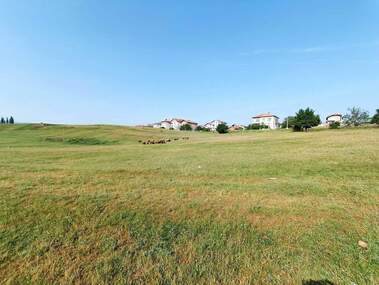 Satış - Tarım arsası olarak Velingrad,  Pazarcik