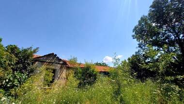 Продажба - Къща в Славяново,  Хасково